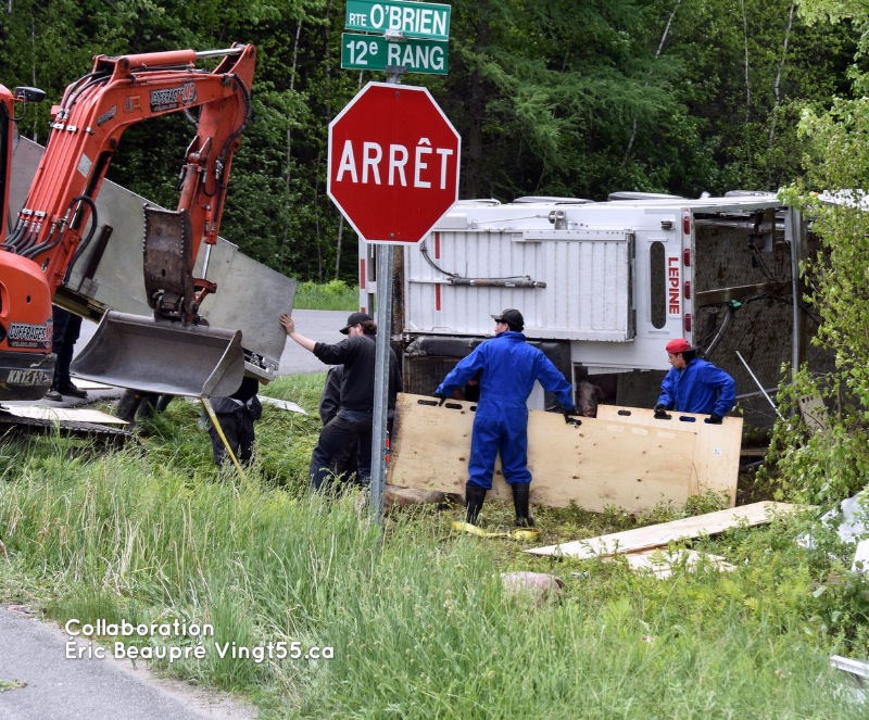 Accident Porcs Rte Obrien @ Crédit photo Eric Beaupré Vingt55 Tous droits réservés  0091W 