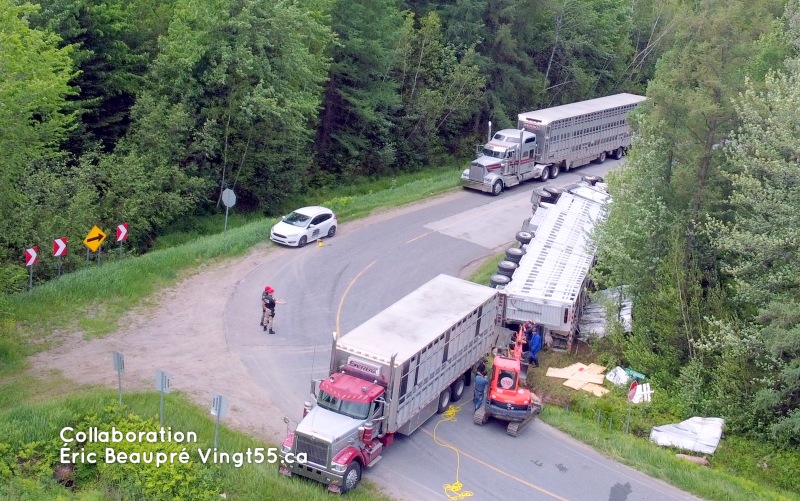 Accident porcs obrien @ Crédit photo Eric Beaupré Vingt55 tous droits réservés1W 