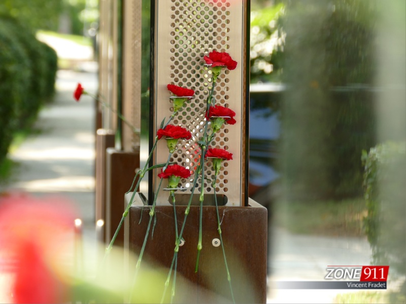 P19209111W 