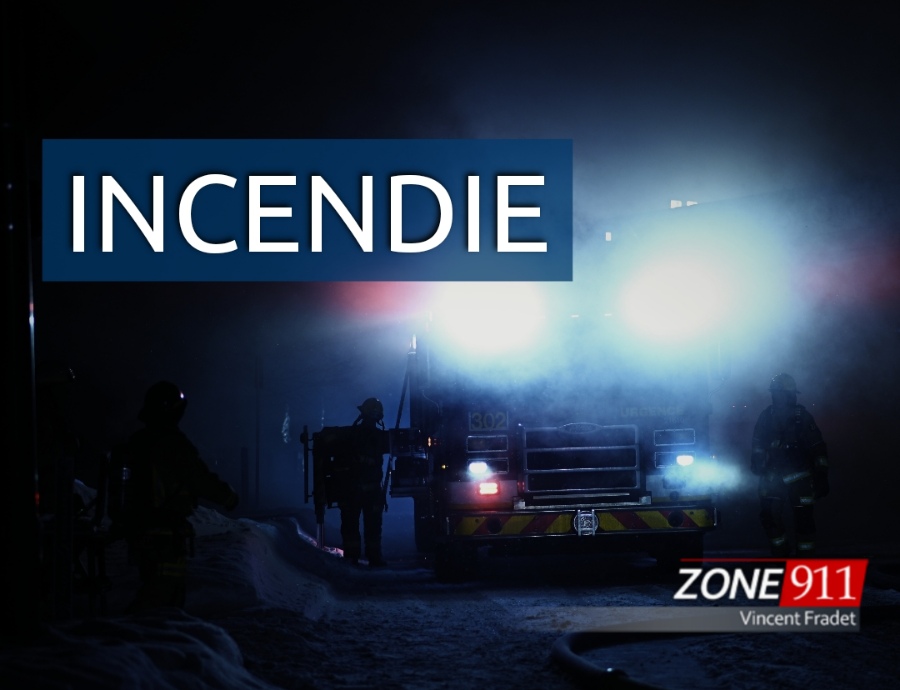 image illustration archives