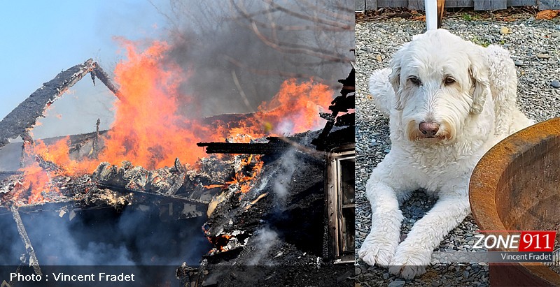 Incendie majeur aux limites de Québec et Boischatel
