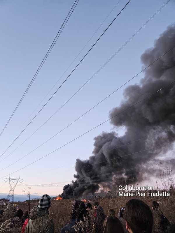 655151ef26381 20231112 1622341W