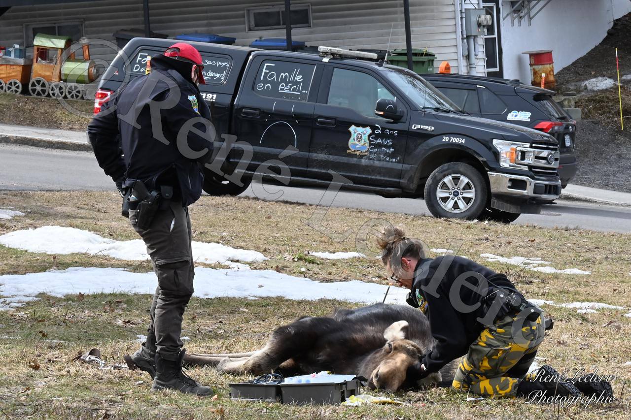 IMG 20250408 174646 991