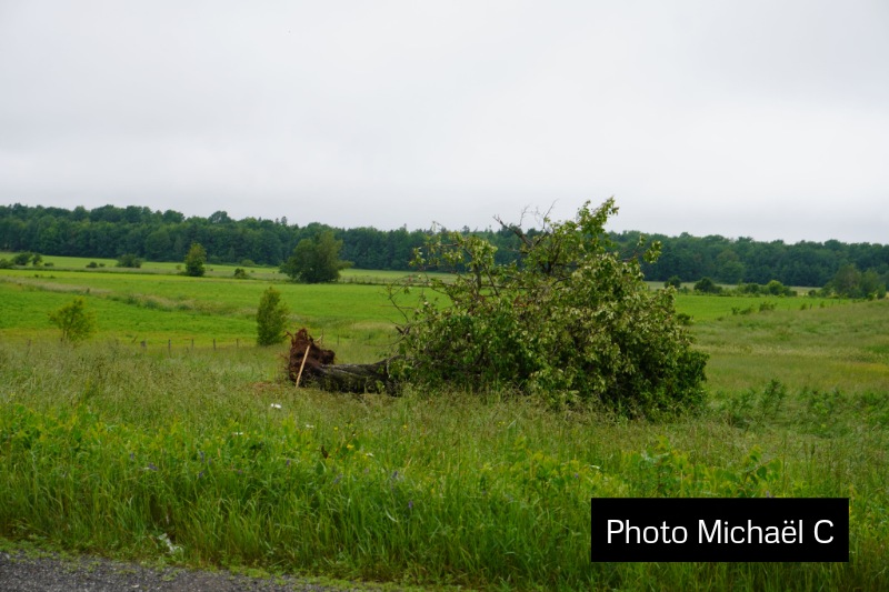 received 7586629737478201W