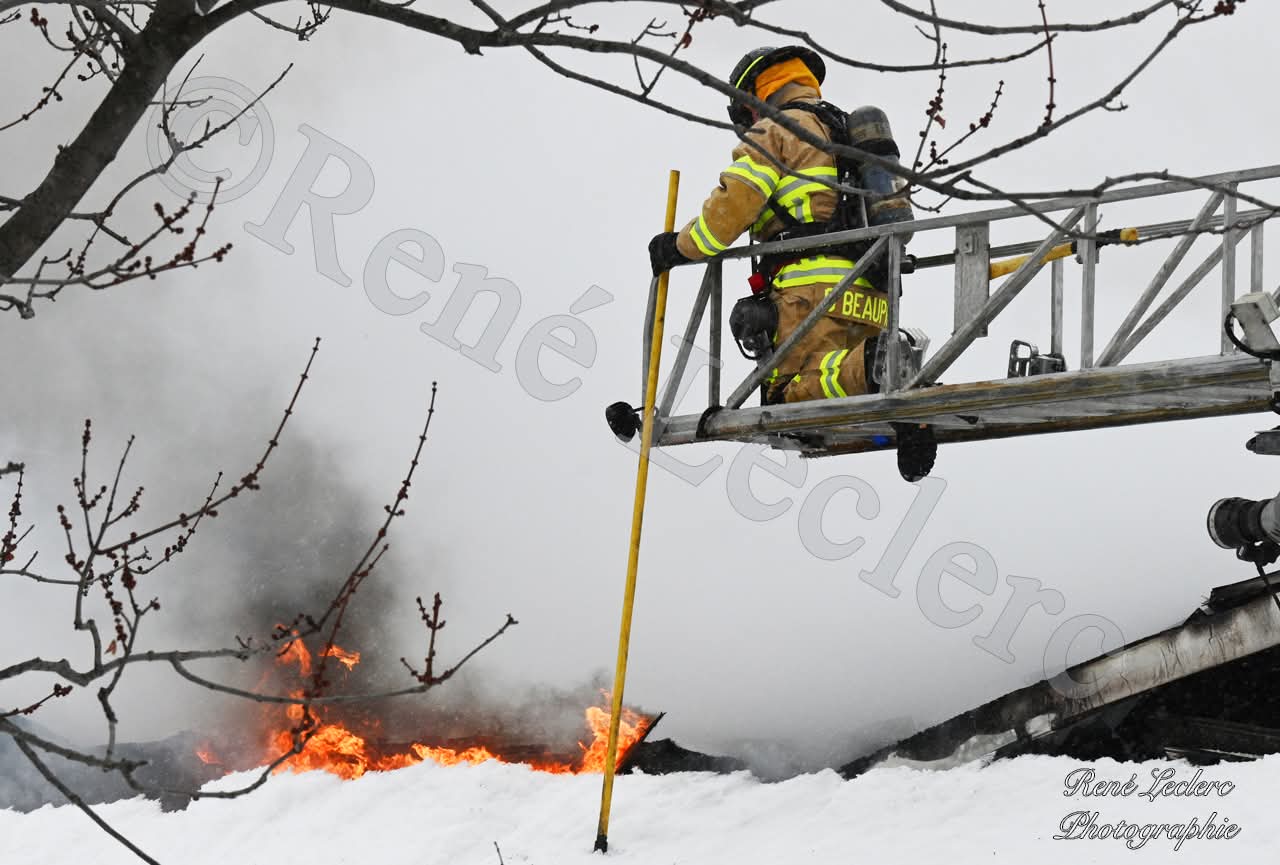 FB_IMG_1769445083499