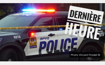 Collaboration Steve Jolicoeur